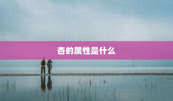 杏的属性是什么