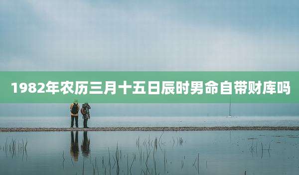1982年农历三月十五日辰时男命自带财库吗