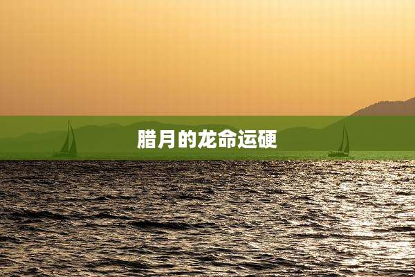 腊月的龙命运硬
