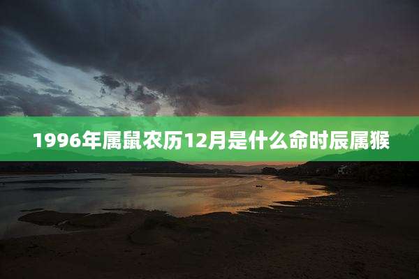 1996年属鼠农历12月是什么命时辰属猴