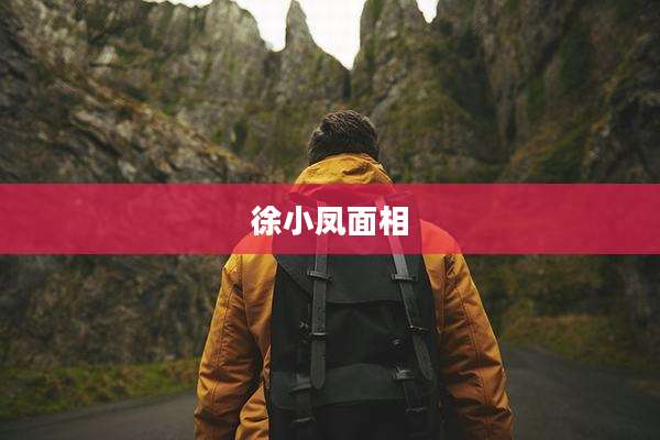 徐小凤面相