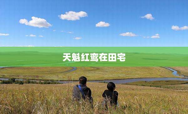 天魁红鸾在田宅