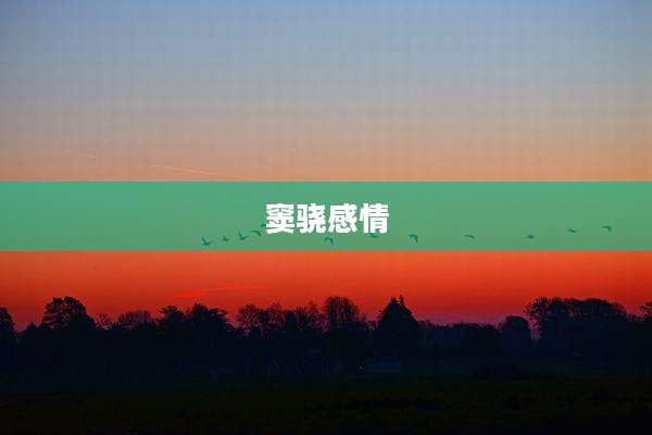 窦骁感情