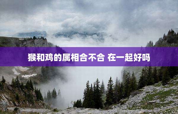 猴和鸡的属相合不合 在一起好吗