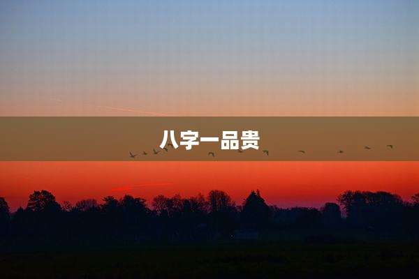 八字一品贵