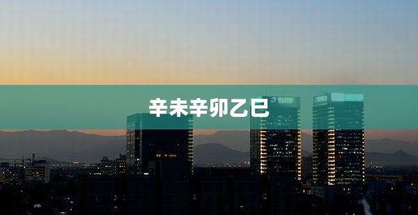 辛未辛卯乙巳