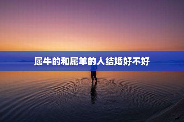 属牛的和属羊的人结婚好不好