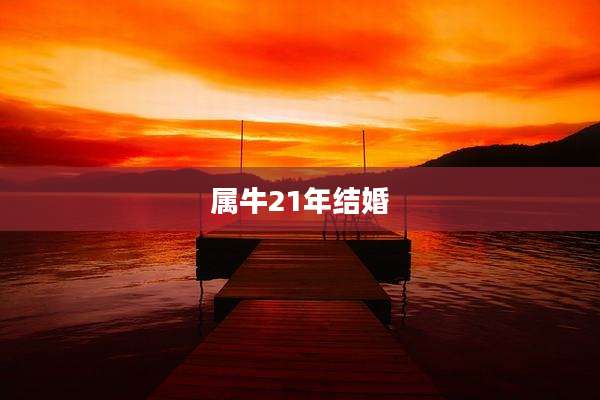 属牛21年结婚