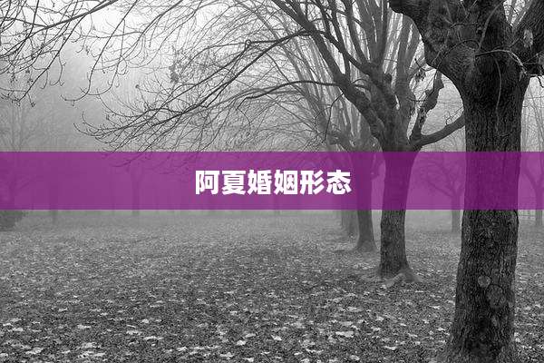 阿夏婚姻形态