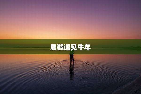 属猴遇见牛年