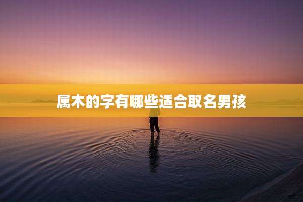 属木的字有哪些适合取名男孩