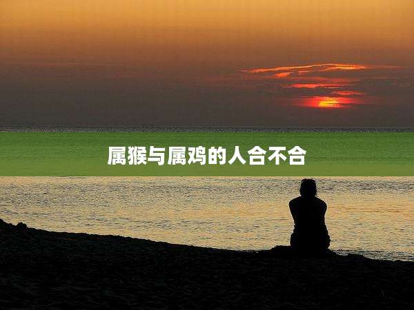 属猴与属鸡的人合不合