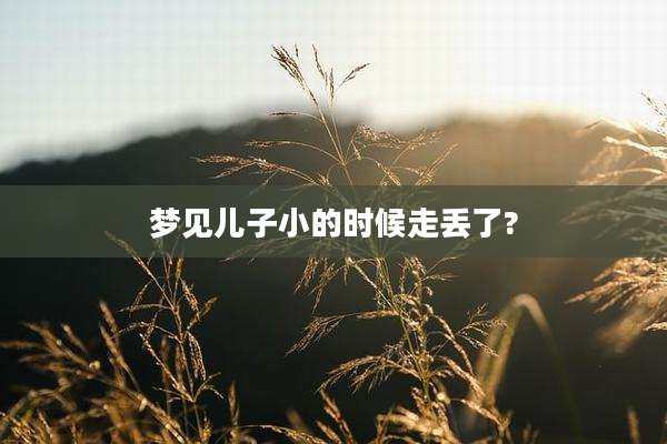 梦见儿子小的时候走丢了?