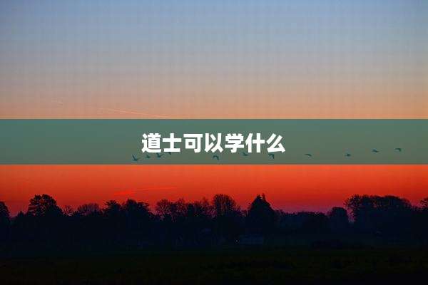 道士可以学什么