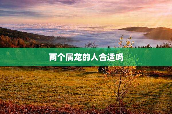 两个属龙的人合适吗