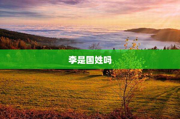 李是国姓吗