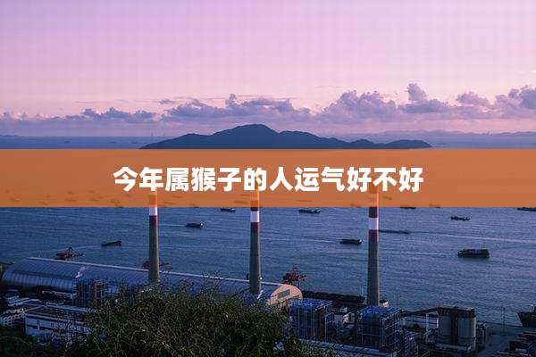 今年属猴子的人运气好不好