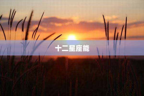 十二星座能