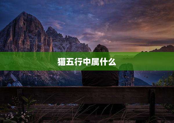 猫五行中属什么