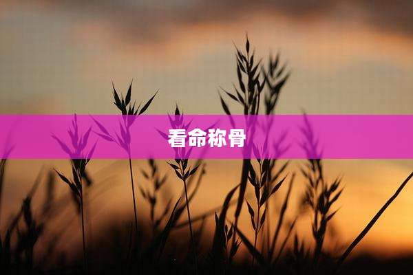 看命称骨
