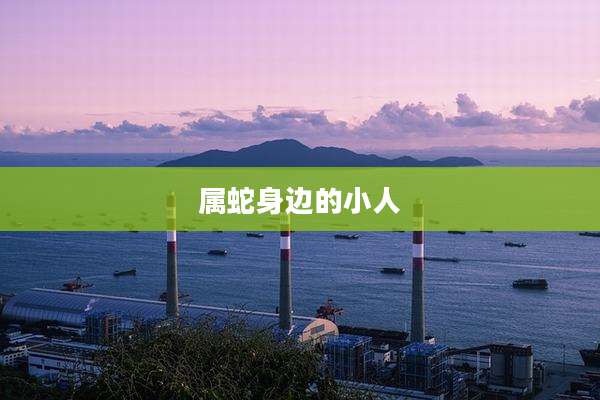 属蛇身边的小人