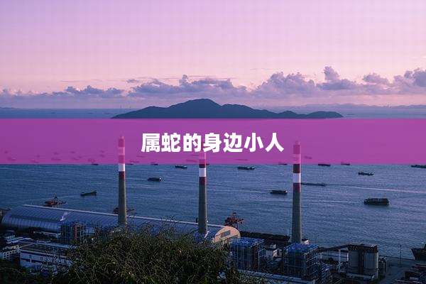 属蛇的身边小人