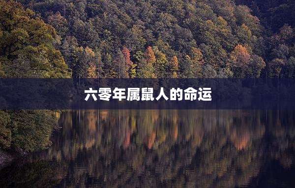 六零年属鼠人的命运