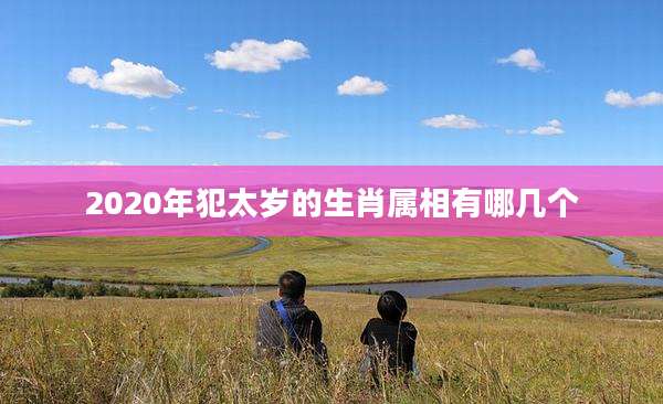 2020年犯太岁的生肖属相有哪几个