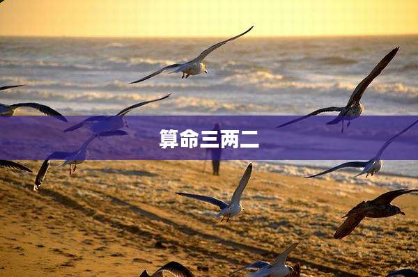 算命三两二