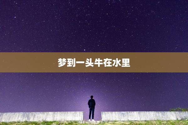 梦到一头牛在水里