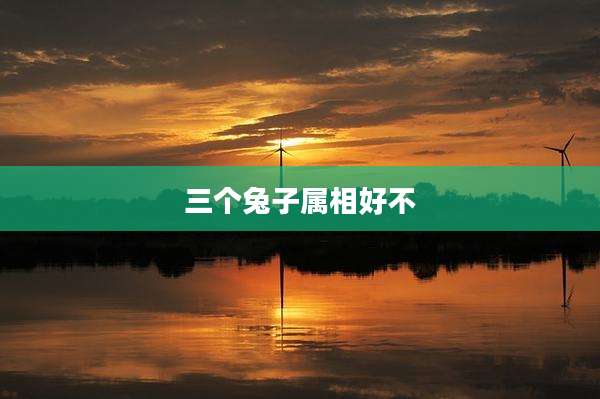 三个兔子属相好不