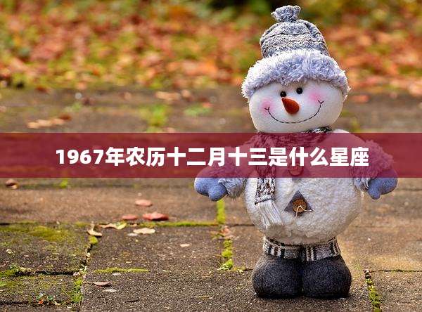 1967年农历十二月十三是什么星座