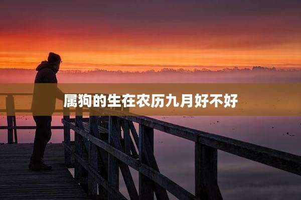 属狗的生在农历九月好不好