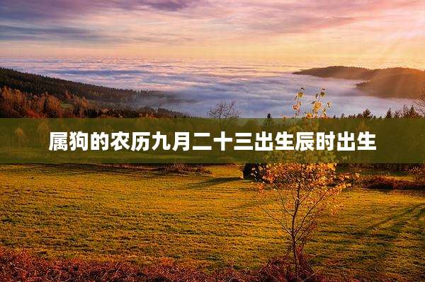 属狗的农历九月二十三出生辰时出生