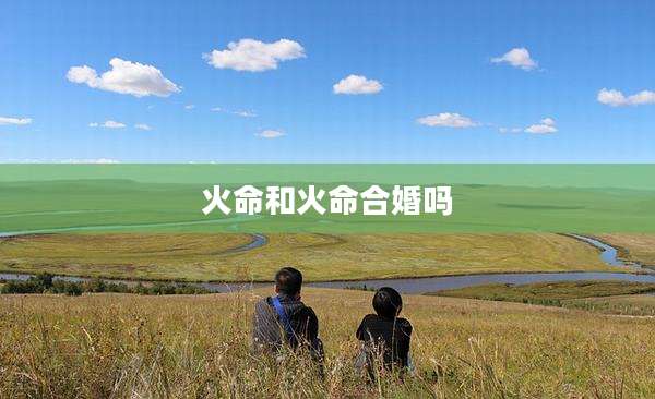火命和火命合婚吗