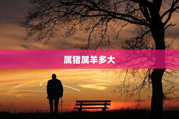 属猪属羊多大