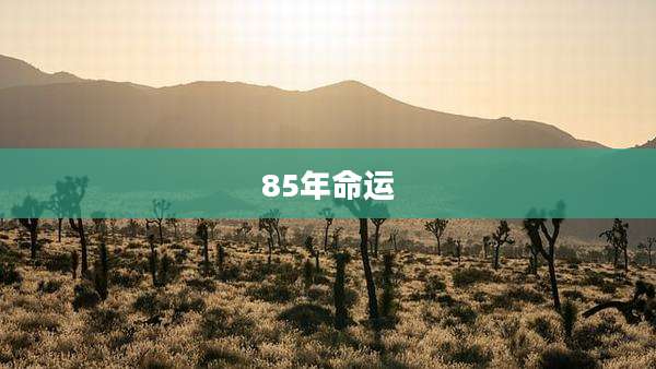 85年命运