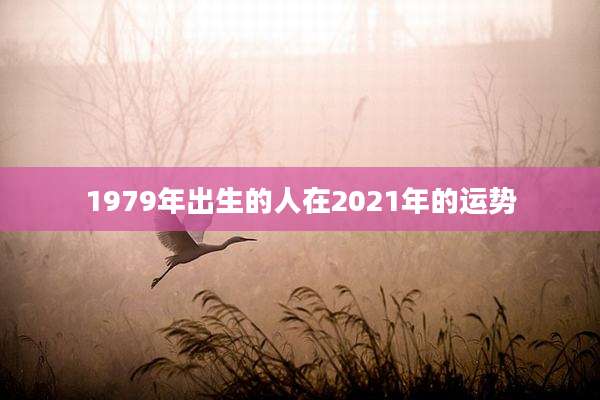 1979年出生的人在2021年的运势