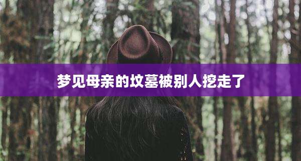 梦见母亲的坟墓被别人挖走了