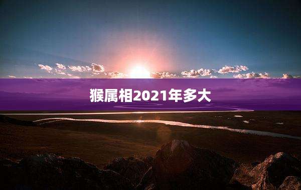 猴属相2021年多大