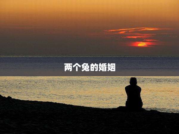 两个兔的婚姻