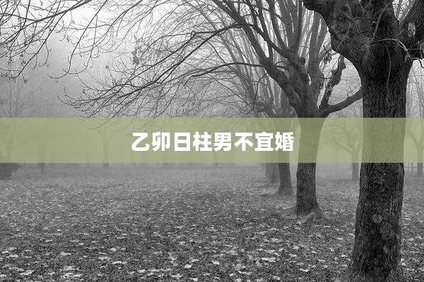 乙卯日柱男不宜婚