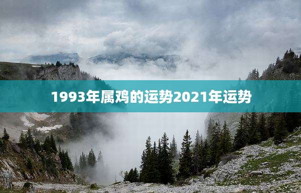 1993年属鸡的运势2021年运势