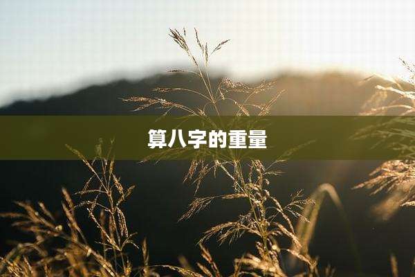算八字的重量