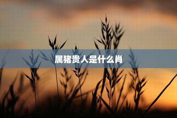 属猪贵人是什么肖