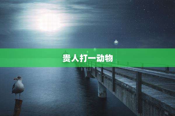 贵人打一动物