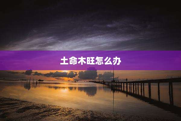 土命木旺怎么办