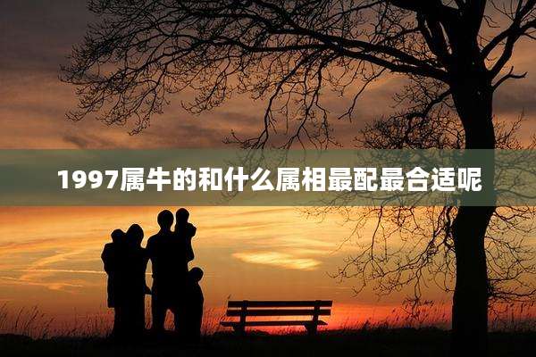 1997属牛的和什么属相最配最合适呢