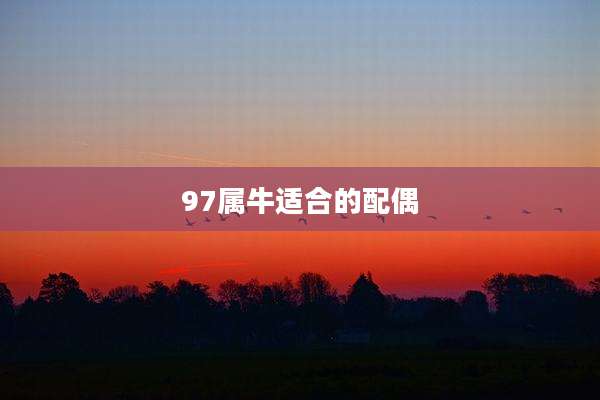 97属牛适合的配偶