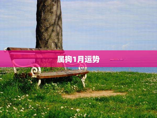 属狗1月运势